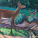 Deer at Everglades National Park_copyrighted nature illustration_JMTurley