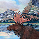 Moose in Glacier National Park_copyrighted nature illustration_JMTurley