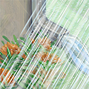 copyrighted image
